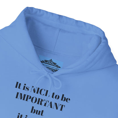BE NICE HOODED SWEATSHIRT