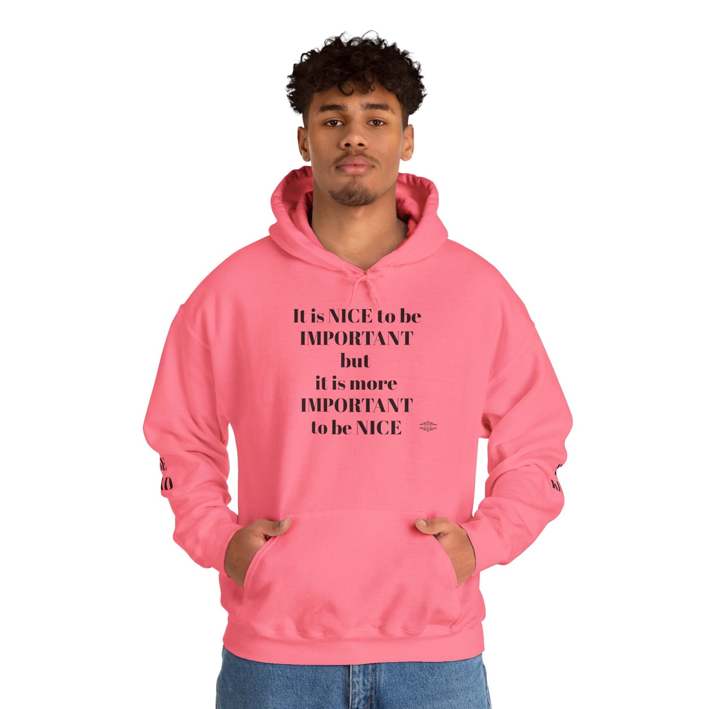 BE NICE HOODED SWEATSHIRT
