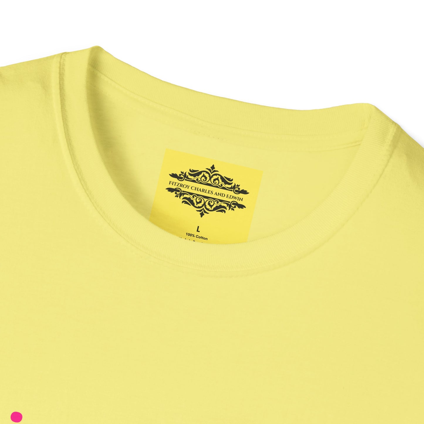 INSPIRATIONAL QUOTE BE NICE TEE