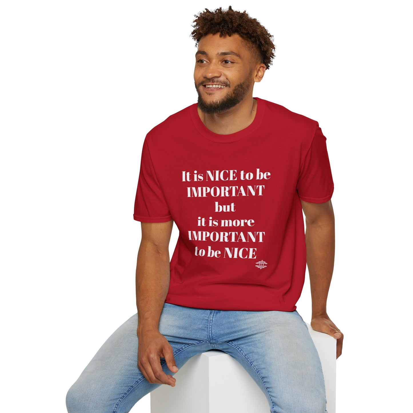 IT IS NICE TO BE IMPORTANT