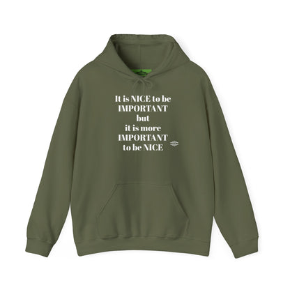 BE NICE HOODED SWEATSHIRT