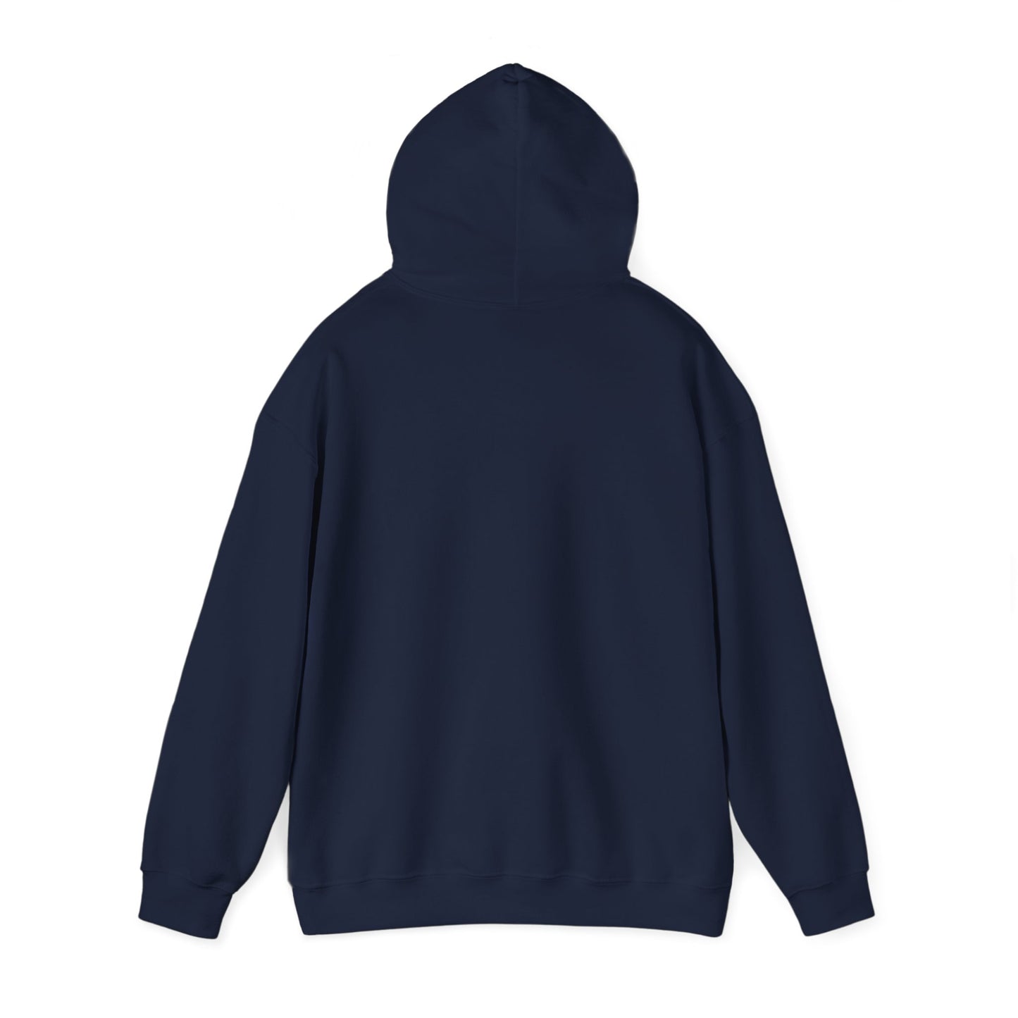 BE NICE HOODED SWEATSHIRT