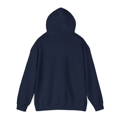 BE NICE HOODED SWEATSHIRT