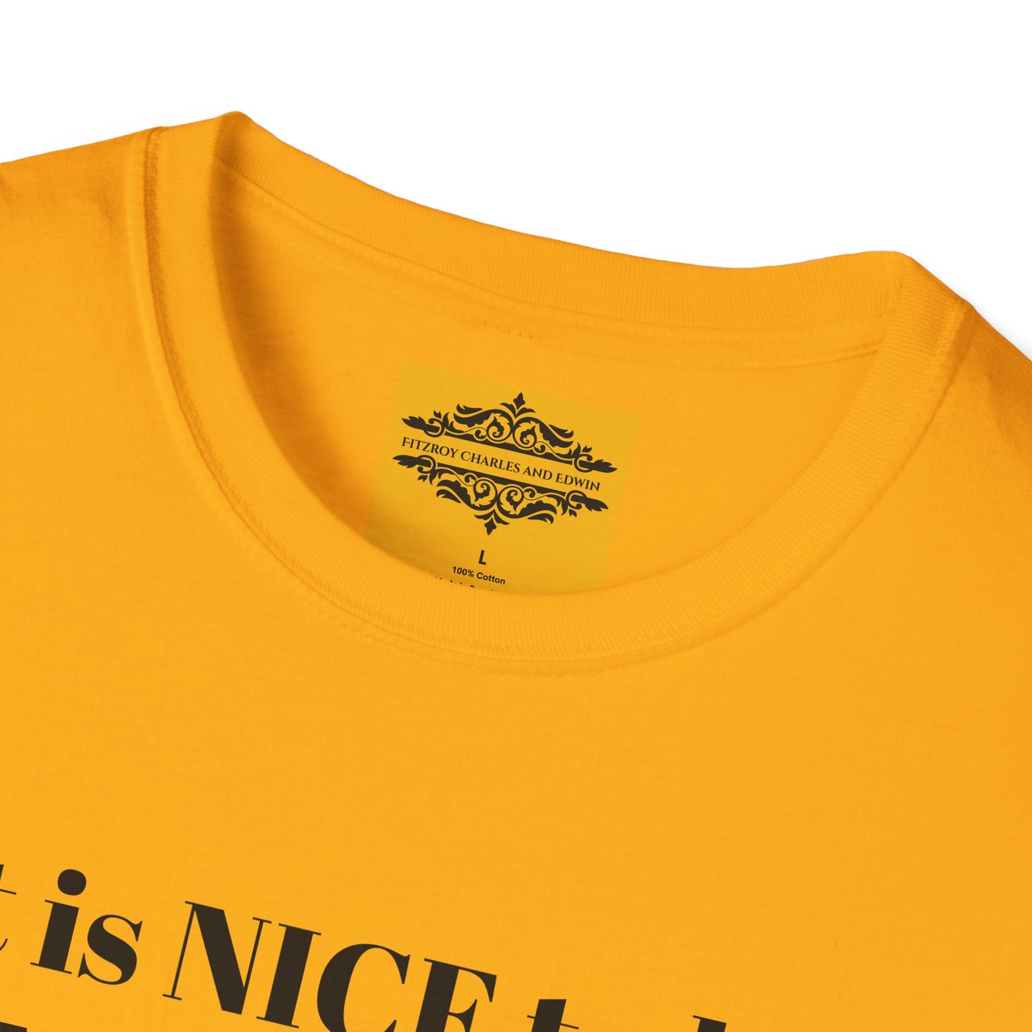 IT IS NICE TEE