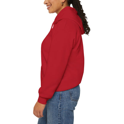 BE NICE HOODED SWEATSHIRT