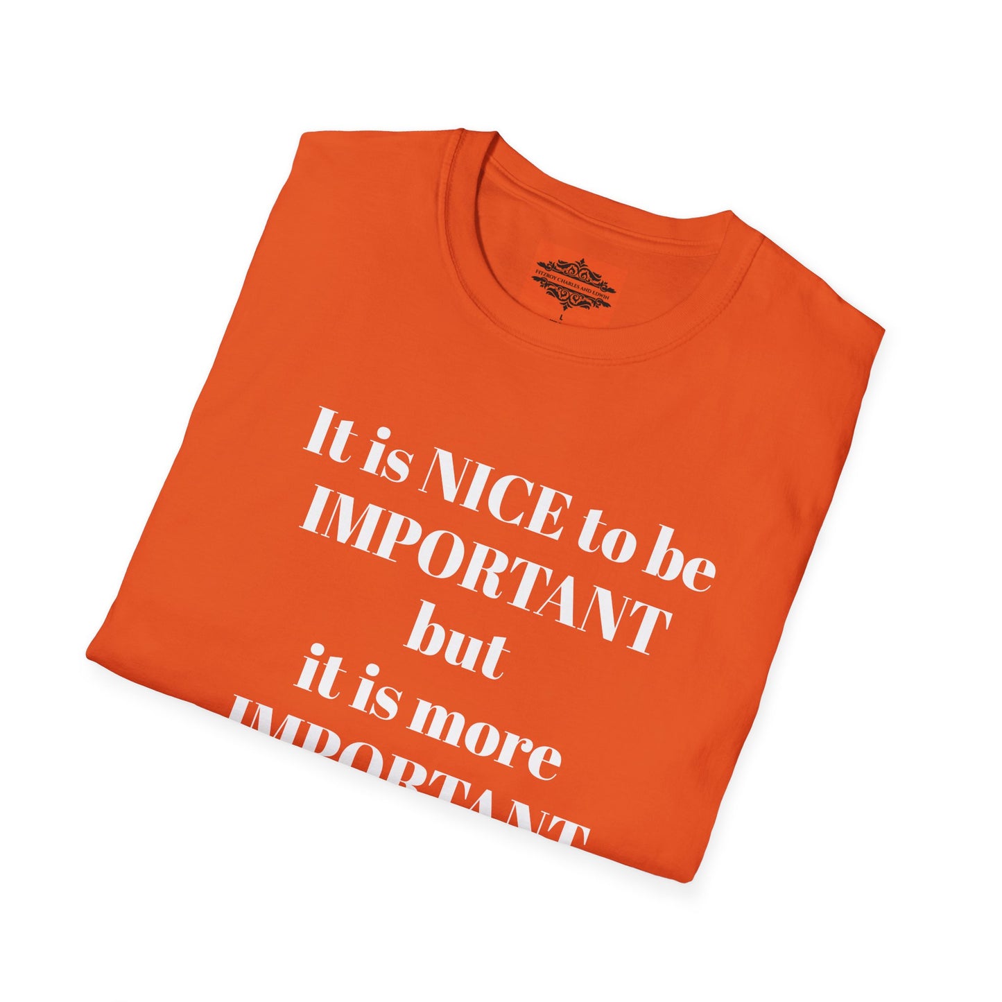 IT IS NICE TO BE IMPORTANT