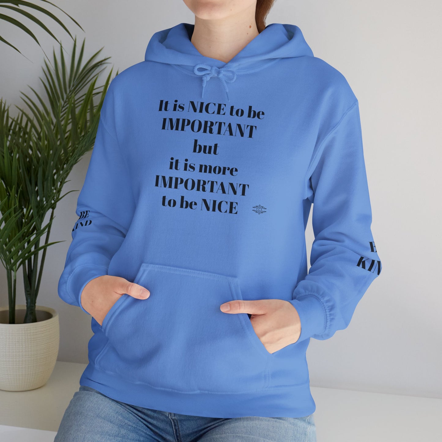 BE NICE HOODED SWEATSHIRT