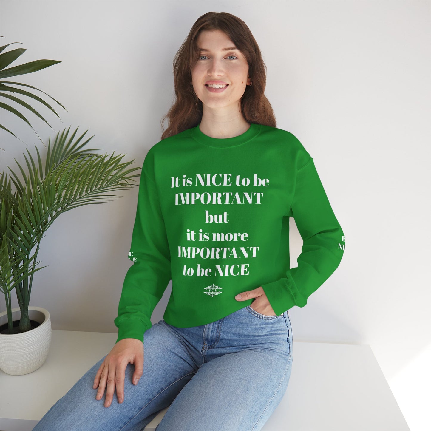 BE NICE CREWNECK SWEATSHIRT DARK COLORS