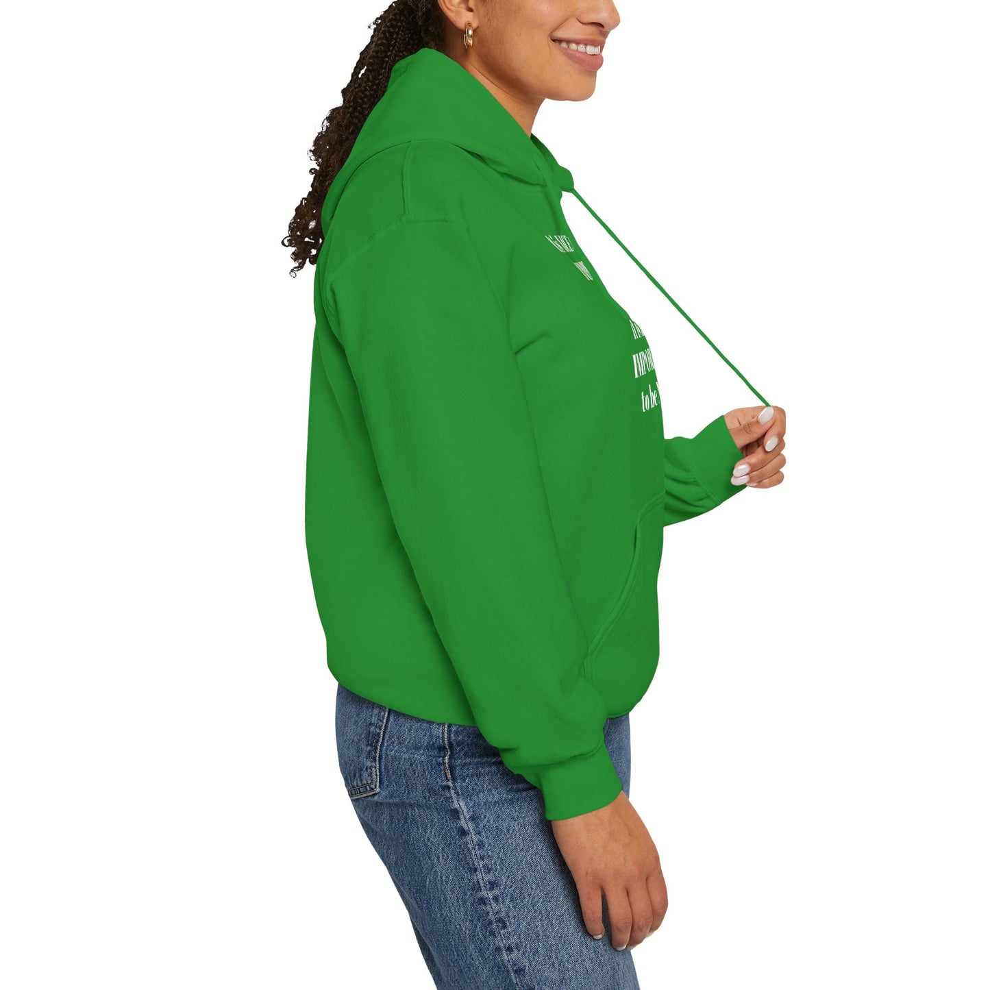 BE NICE HOODED SWEATSHIRT