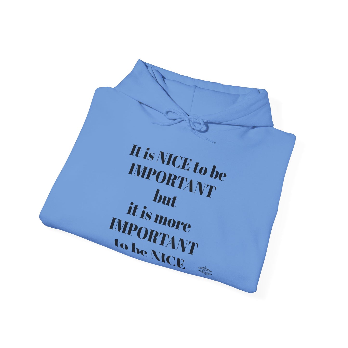 BE NICE HOODED SWEATSHIRT