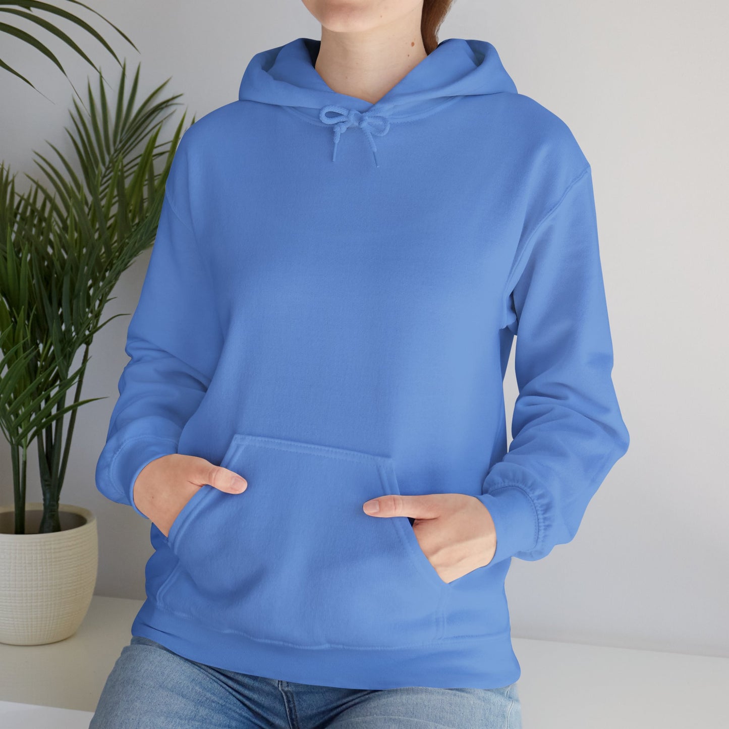 BE NICE HOODED SWEATSHIRT