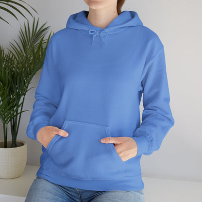 BE NICE HOODED SWEATSHIRT