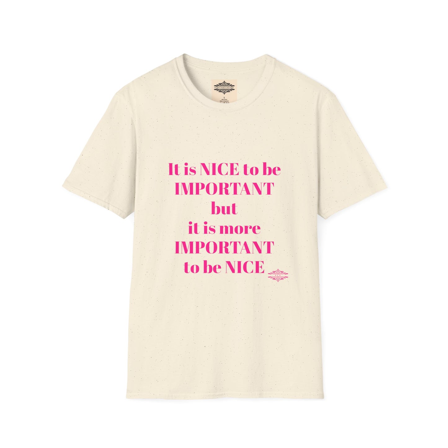 INSPIRATIONAL QUOTE BE NICE TEE