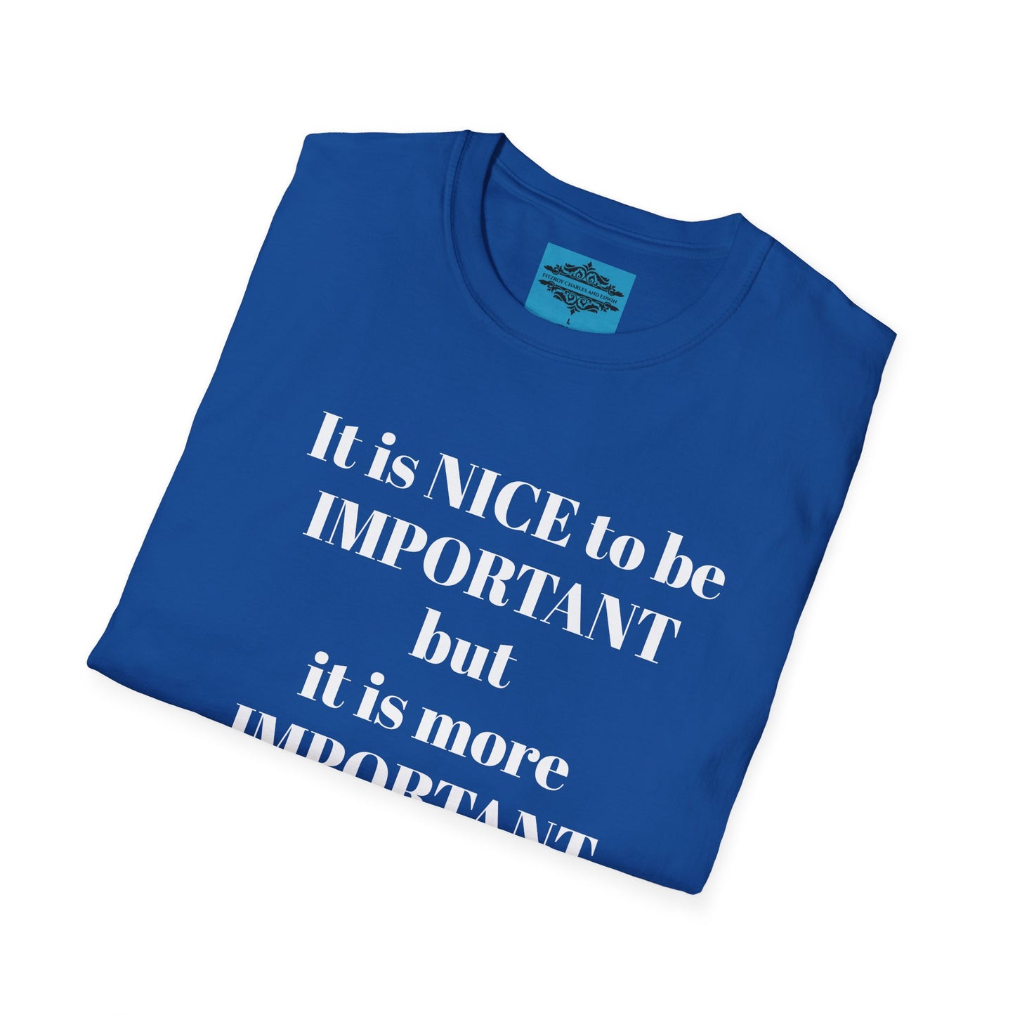 IT IS NICE TO BE IMPORTANT