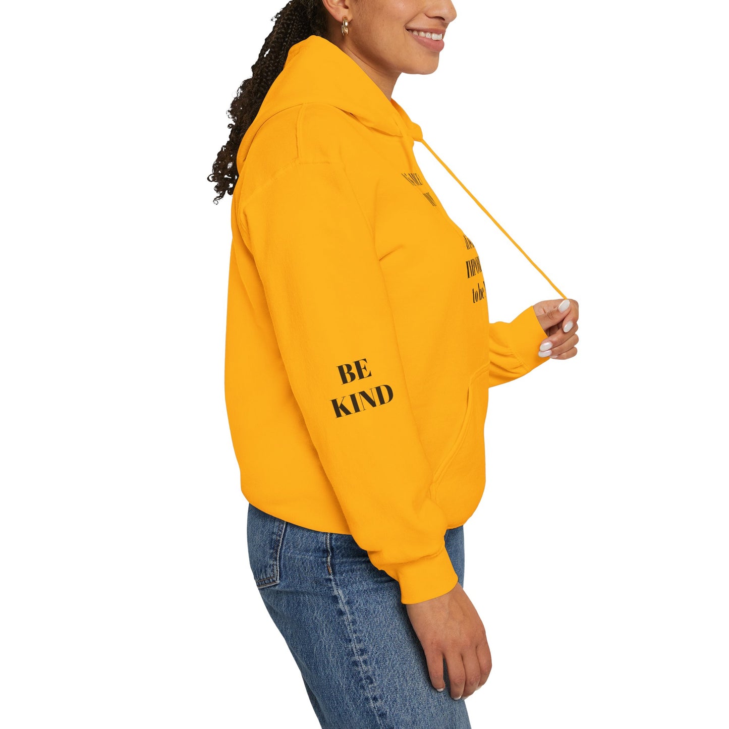 BE NICE HOODED SWEATSHIRT