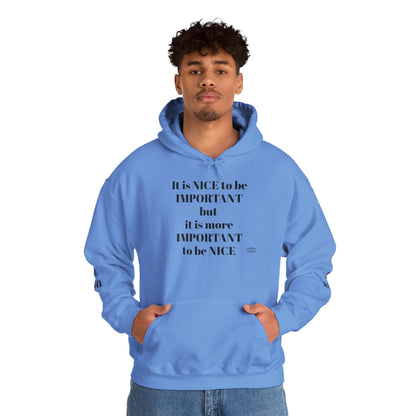 BE NICE HOODED SWEATSHIRT