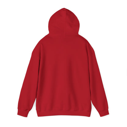 BE NICE HOODED SWEATSHIRT