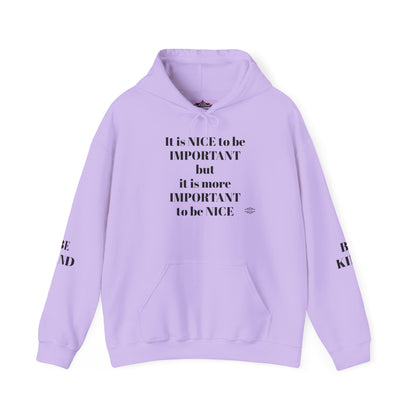 BE NICE HOODED SWEATSHIRT