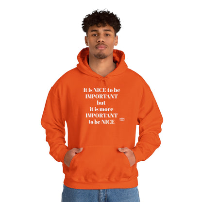 BE NICE HOODED SWEATSHIRT