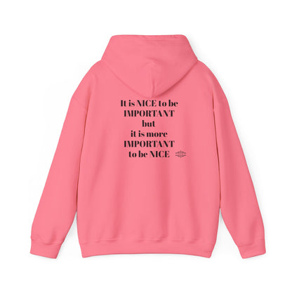 BE NICE HOODED SWEATSHIRT
