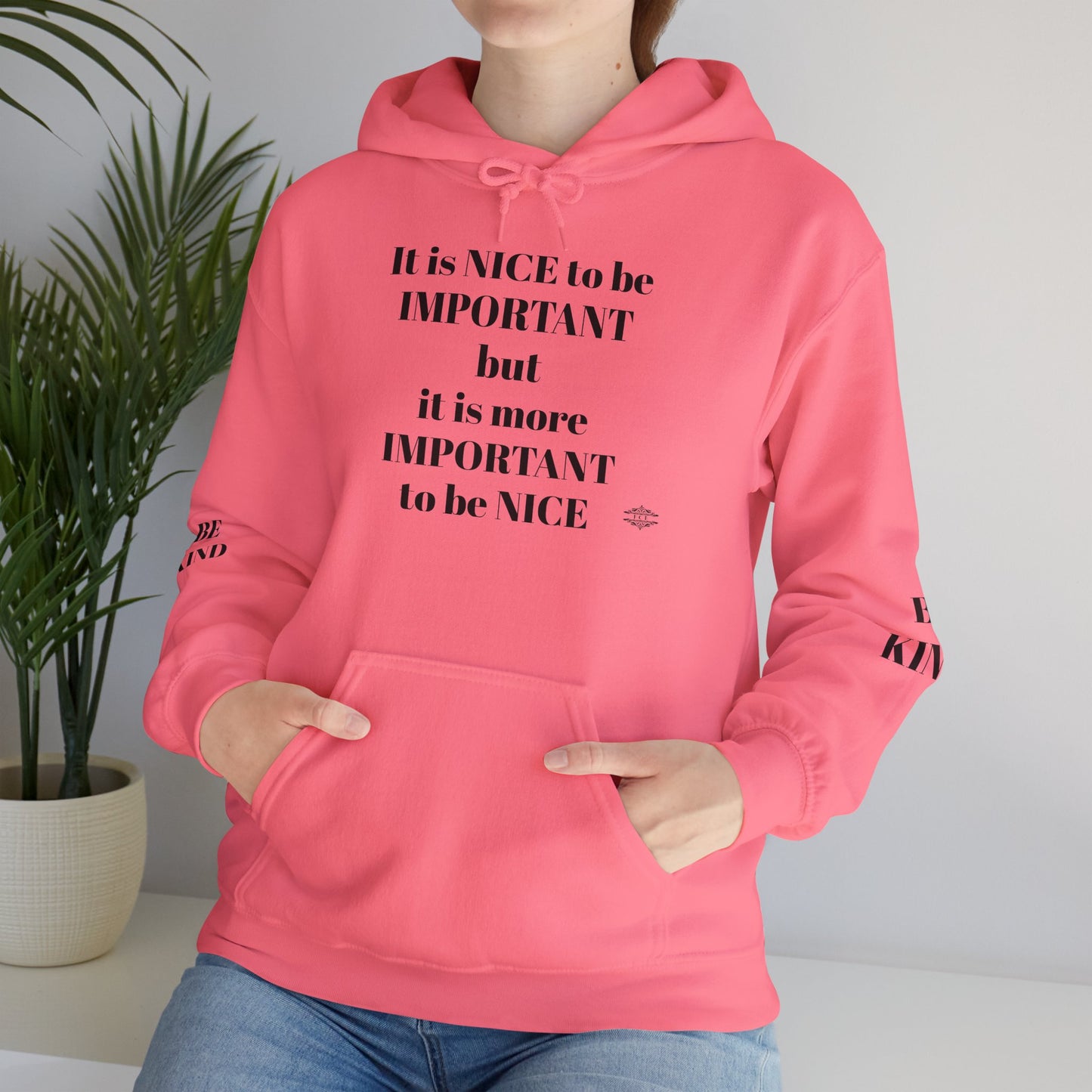 BE NICE HOODED SWEATSHIRT