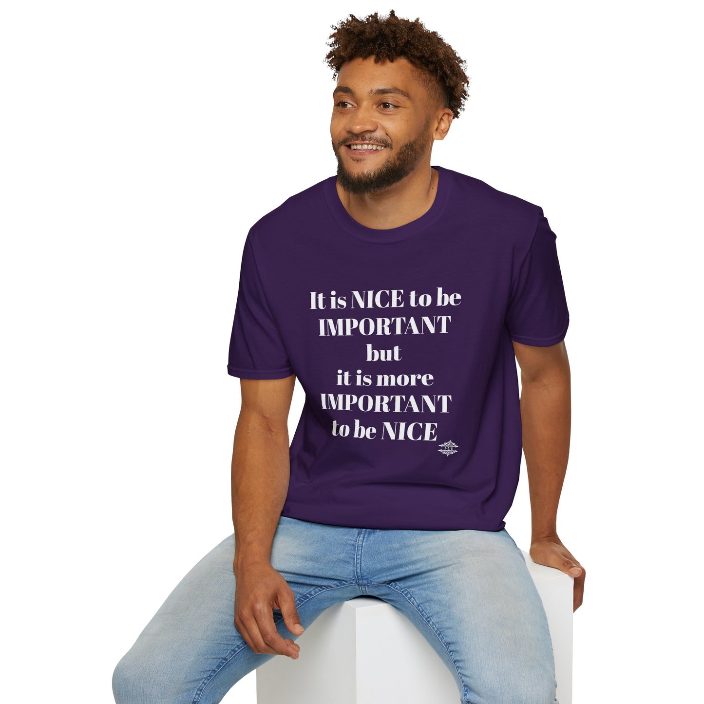 IT IS NICE TO BE IMPORTANT