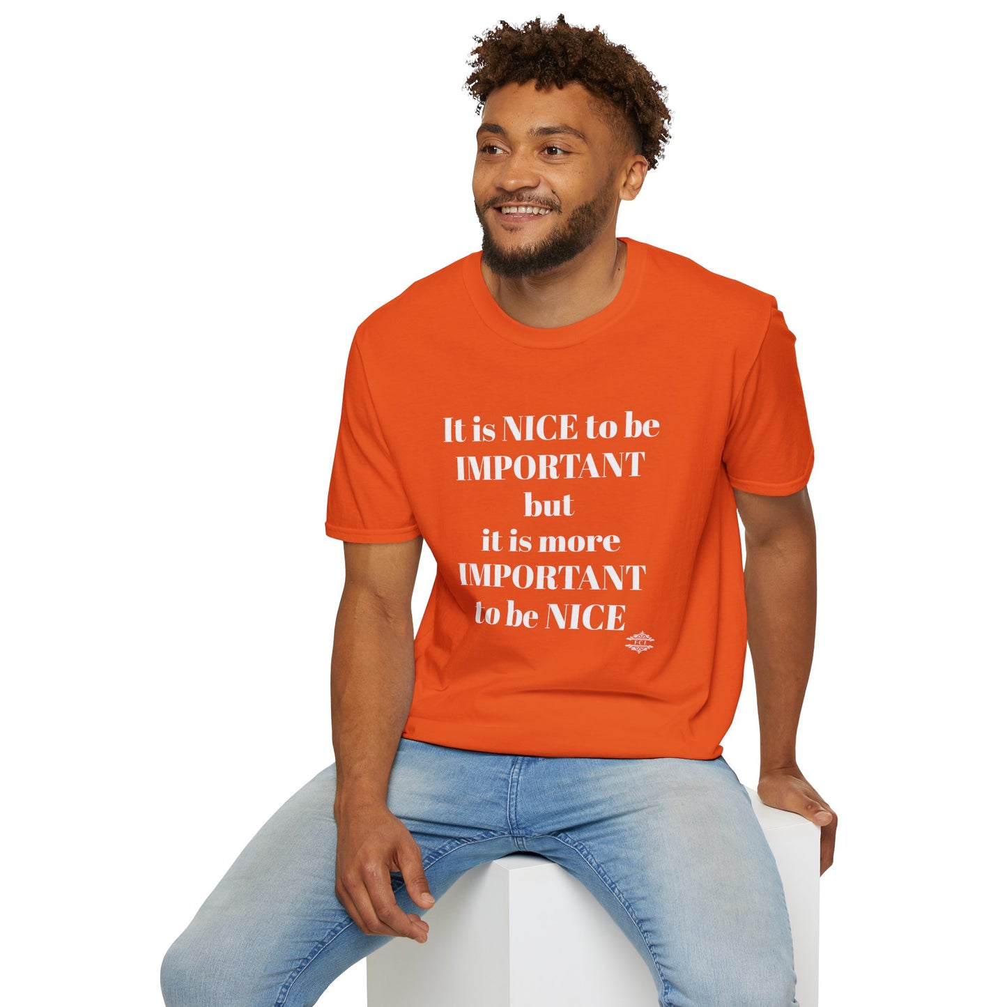 IT IS NICE TO BE IMPORTANT