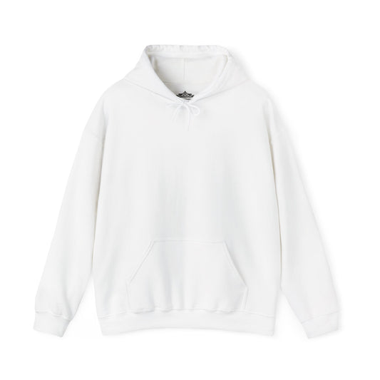 BE NICE HOODED SWEATSHIRT