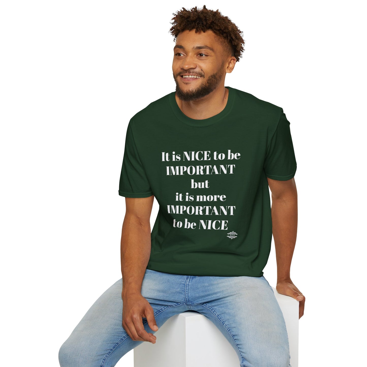 IT IS NICE TO BE IMPORTANT