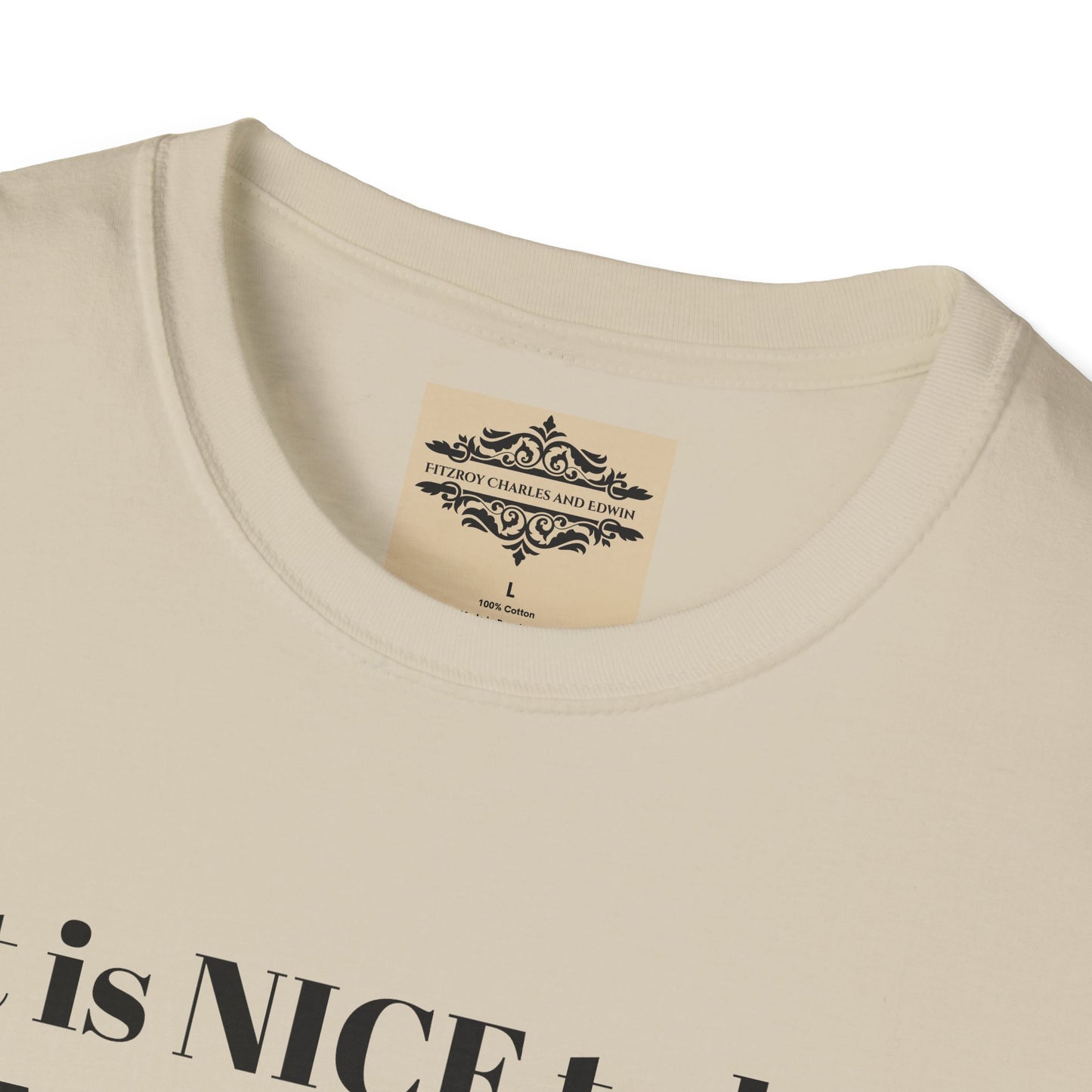 IT IS NICE TEE