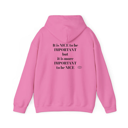 BE NICE HOODED SWEATSHIRT