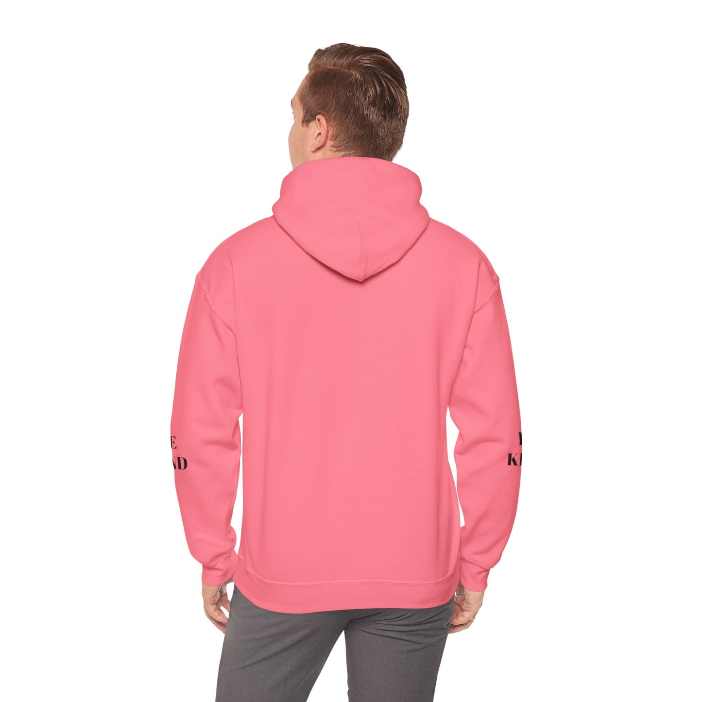 BE NICE HOODED SWEATSHIRT