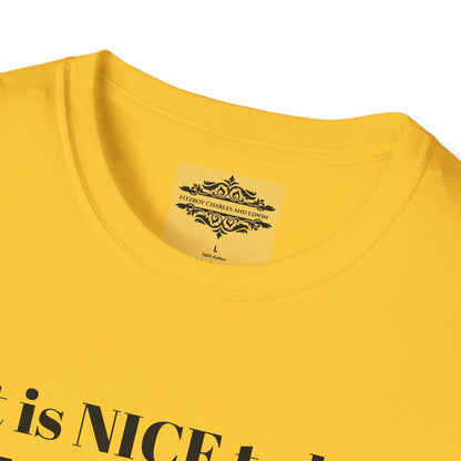 IT IS NICE TEE