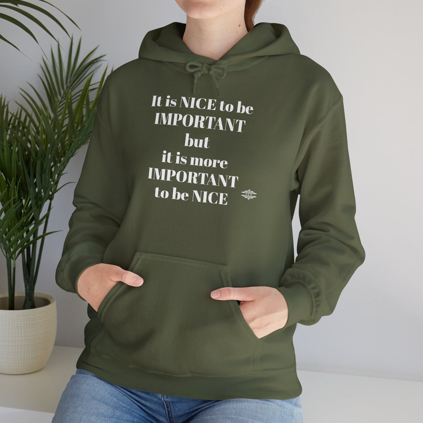 BE NICE HOODED SWEATSHIRT