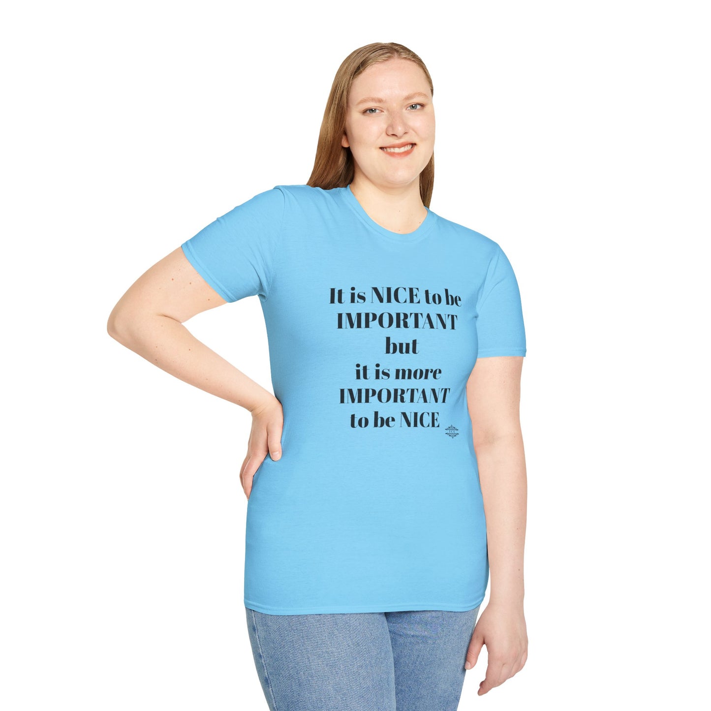 IT IS NICE TEE