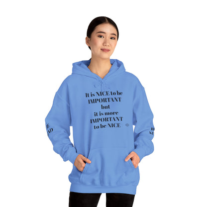 BE NICE HOODED SWEATSHIRT