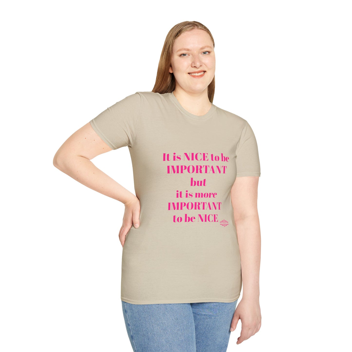 INSPIRATIONAL QUOTE BE NICE TEE