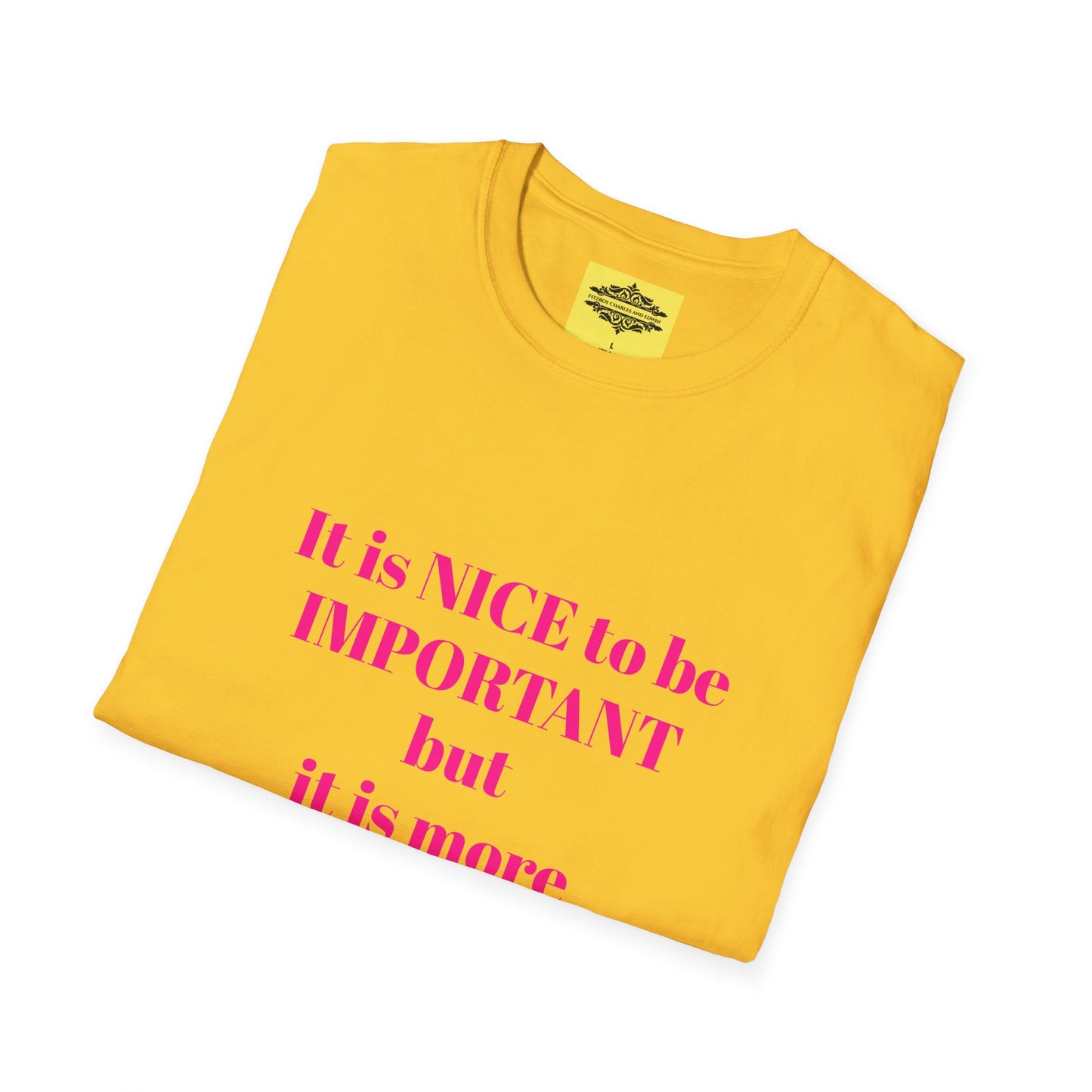 INSPIRATIONAL QUOTE BE NICE TEE