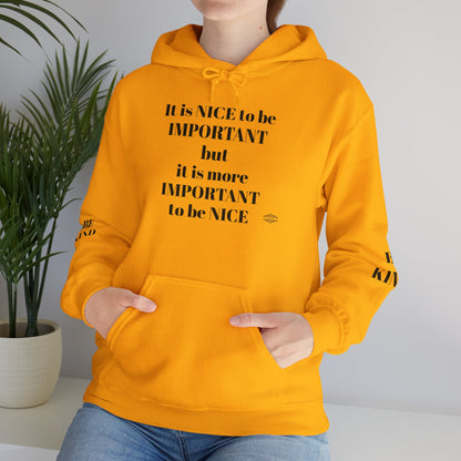 BE NICE HOODED SWEATSHIRT
