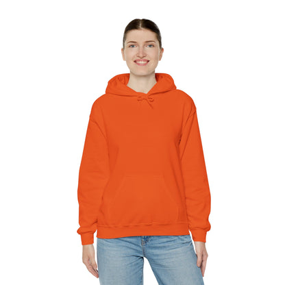 BE NICE HOODED SWEATSHIRT