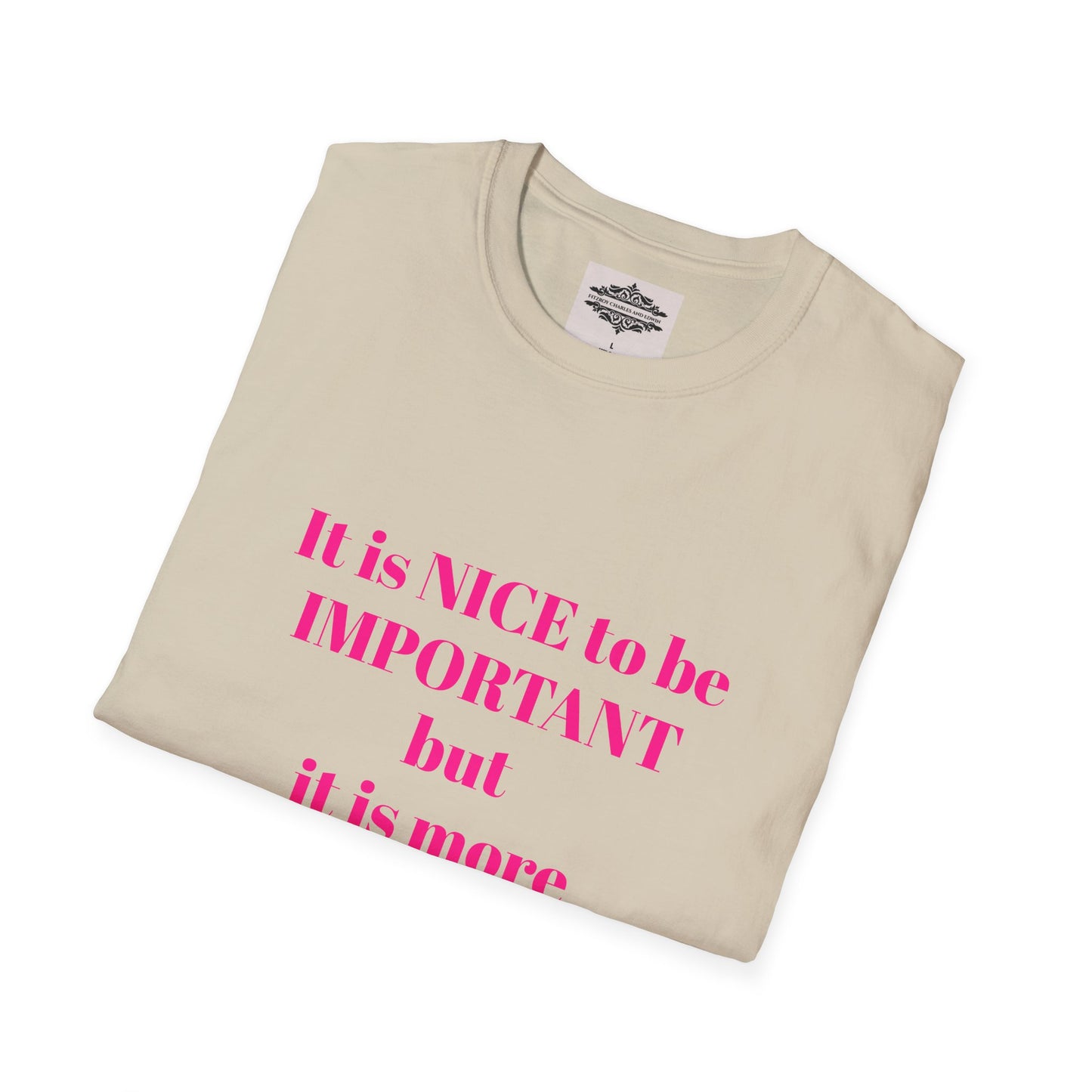 INSPIRATIONAL QUOTE BE NICE TEE