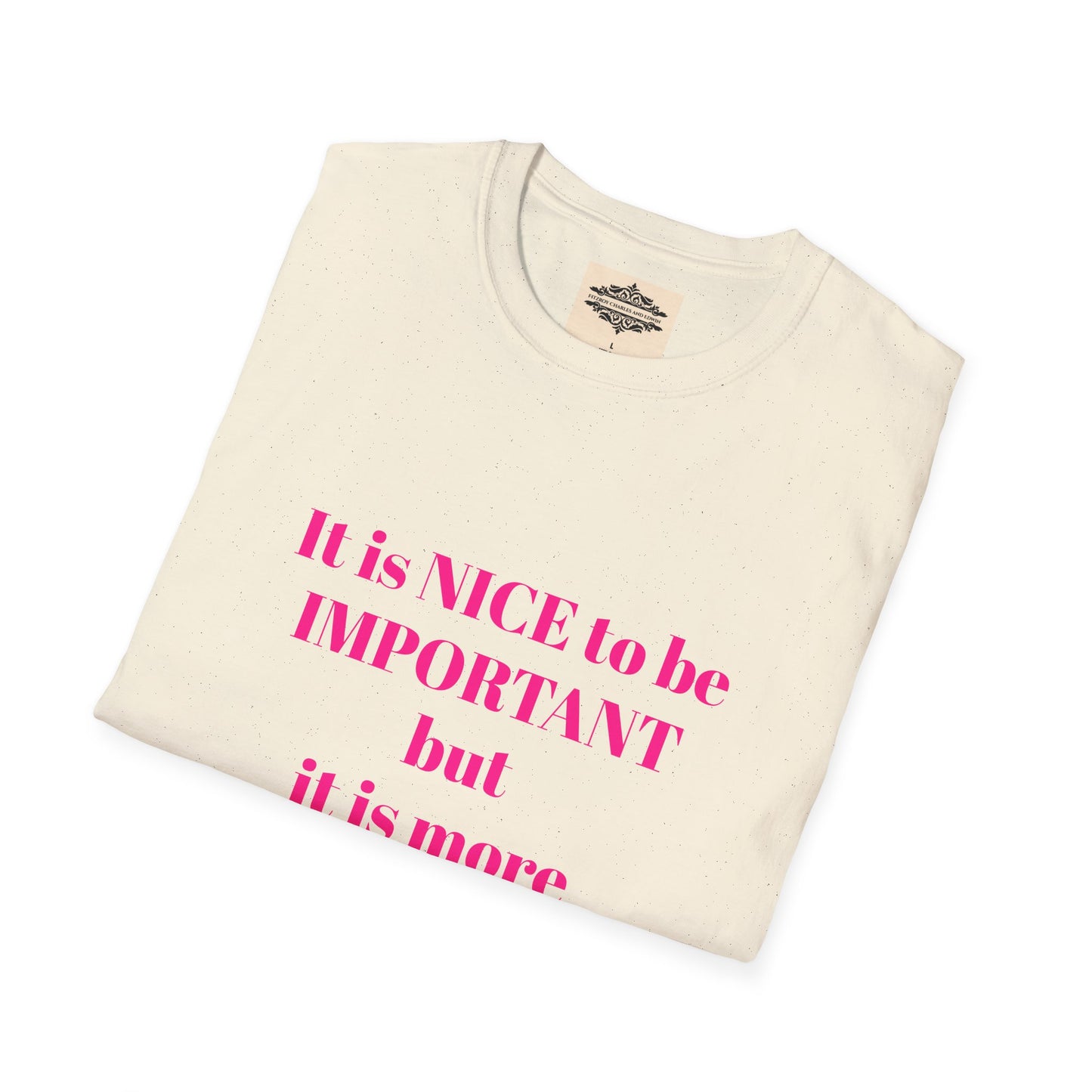 INSPIRATIONAL QUOTE BE NICE TEE