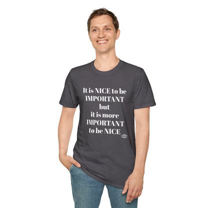 IT IS NICE TO BE IMPORTANT