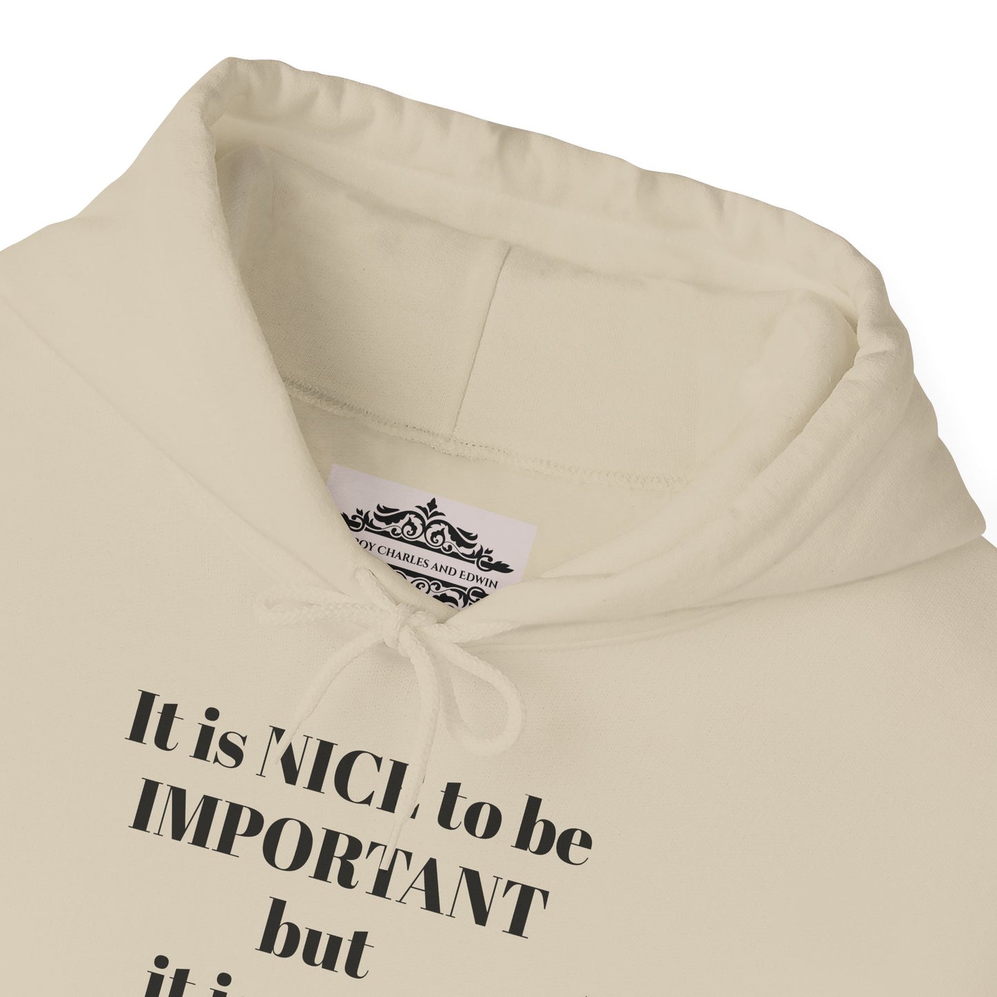 BE NICE HOODED SWEATSHIRT