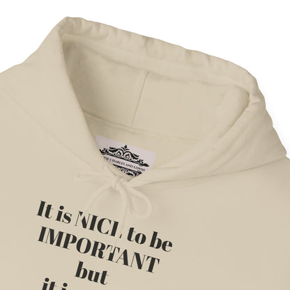 BE NICE HOODED SWEATSHIRT