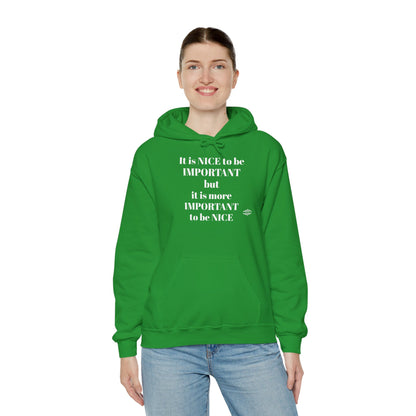 BE NICE HOODED SWEATSHIRT