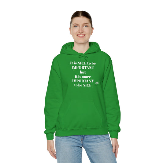 BE NICE HOODED SWEATSHIRT