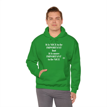 BE NICE HOODED SWEATSHIRT
