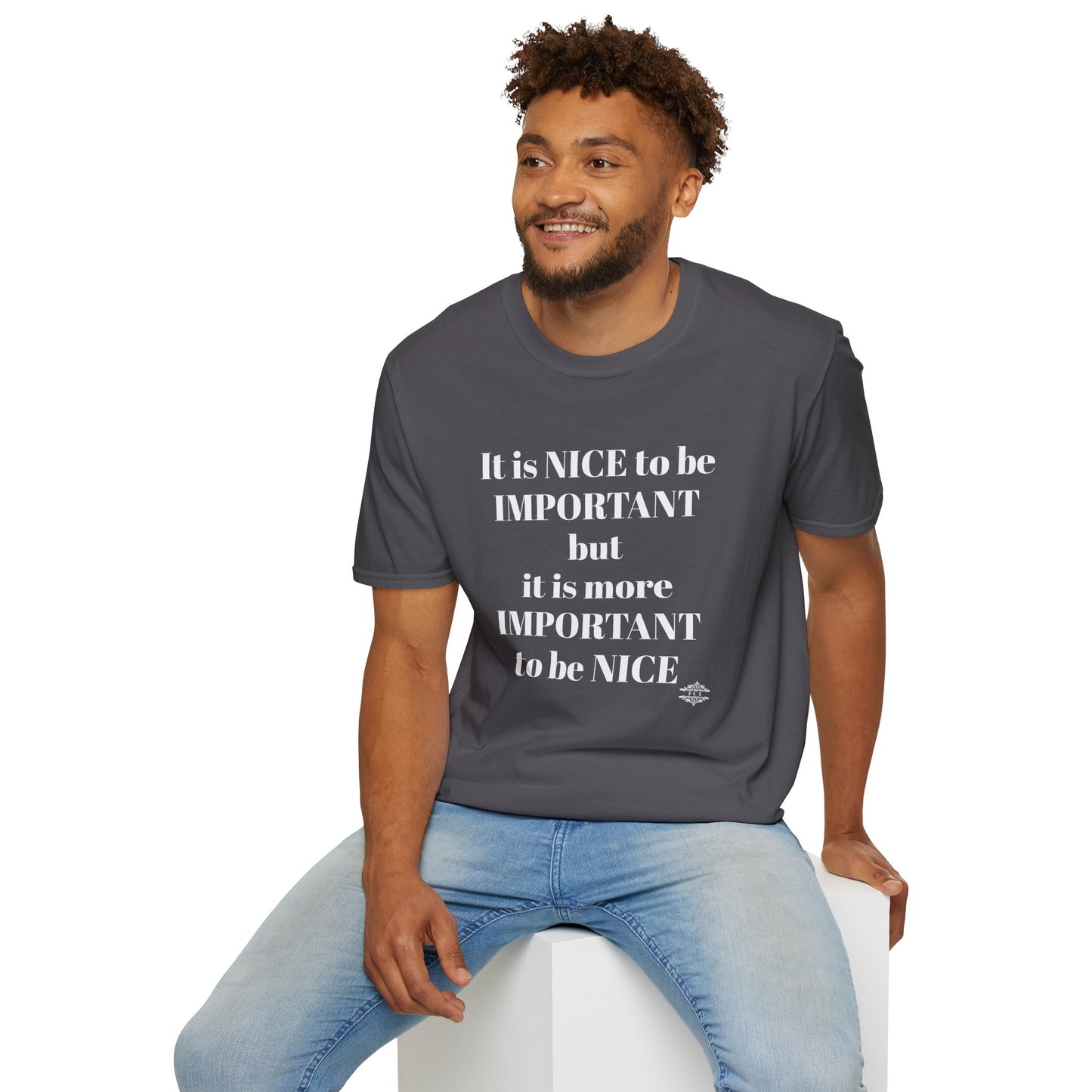 IT IS NICE TO BE IMPORTANT