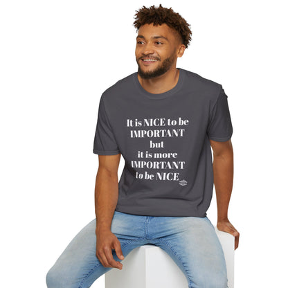 IT IS NICE TO BE IMPORTANT